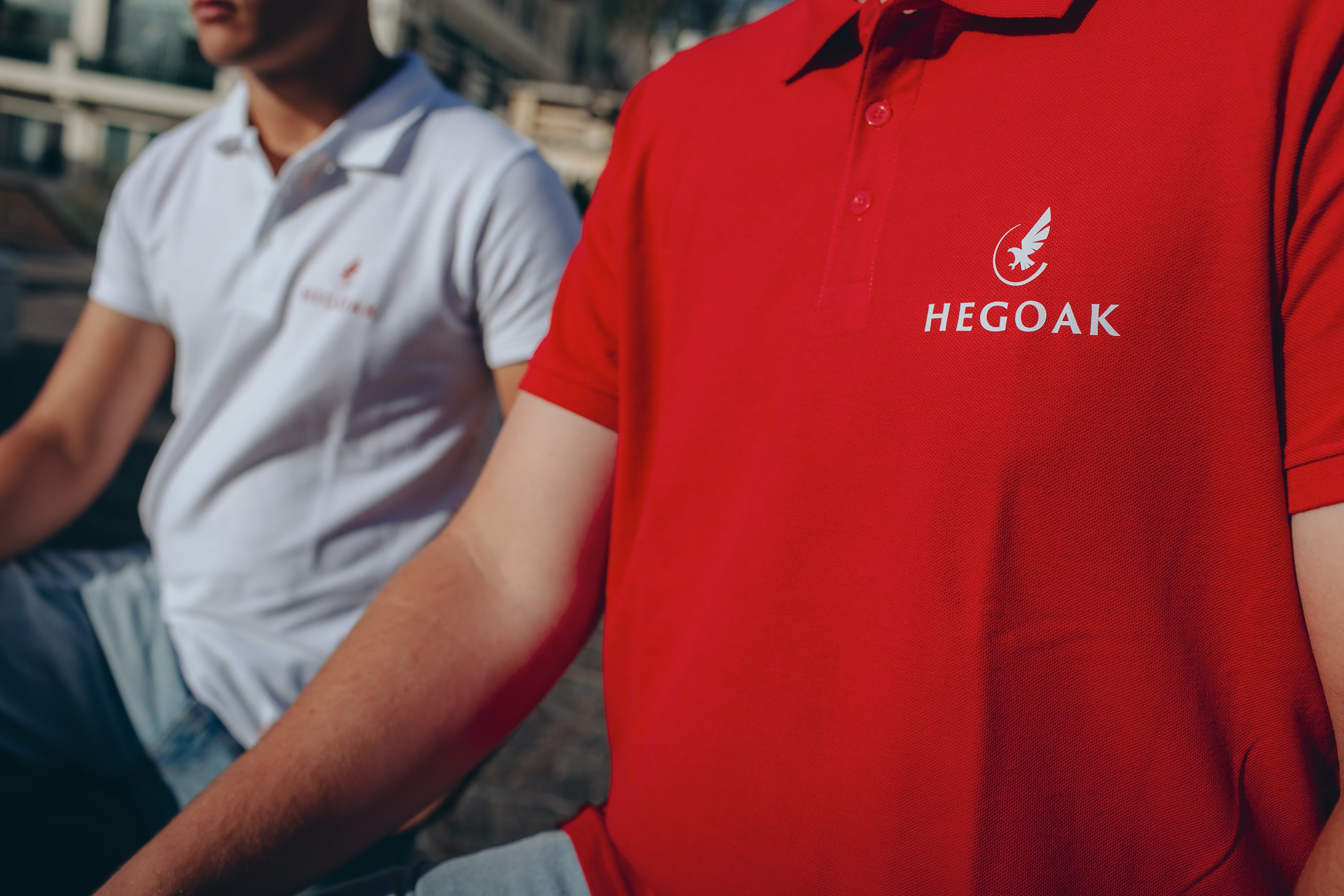 Polo Hegoak